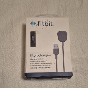 Fitbit Charge 4 USB Charging Cable in Gray